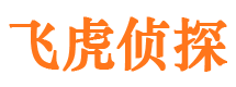 宽甸市侦探调查公司